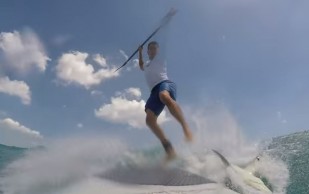 Surfista Choca Contra Tiburón En Florida